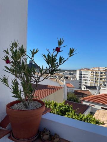 Casa Alegria - Ocean View Apartment - Centre Лагуш Экстерьер фото